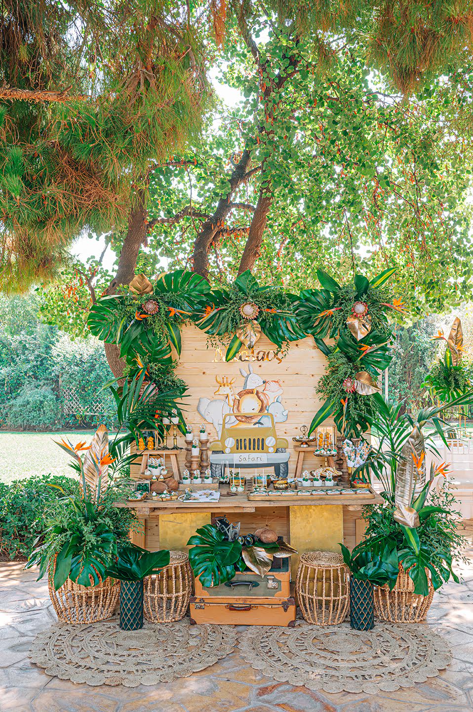 Τropical Safari